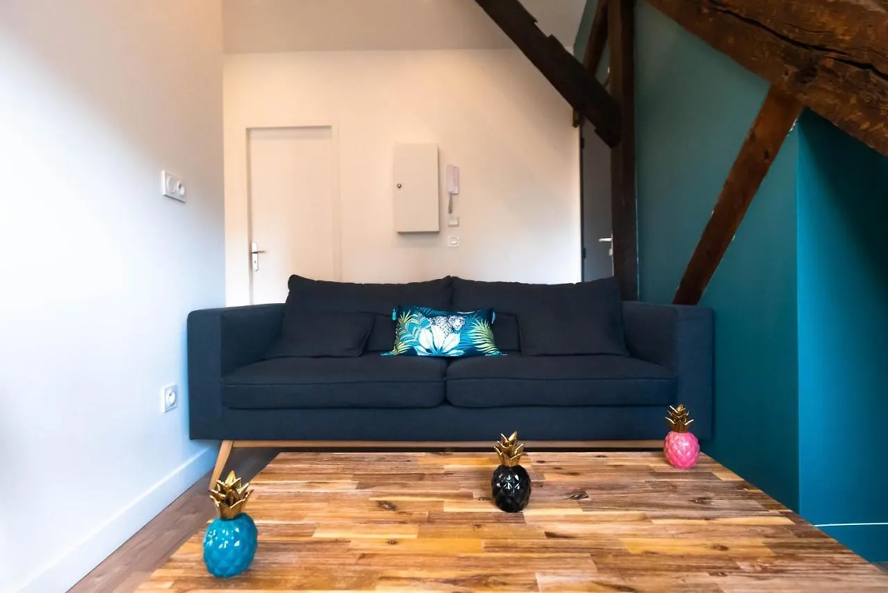 Le Puits-Clos - T2 Au Capitole Apartment Toulouse