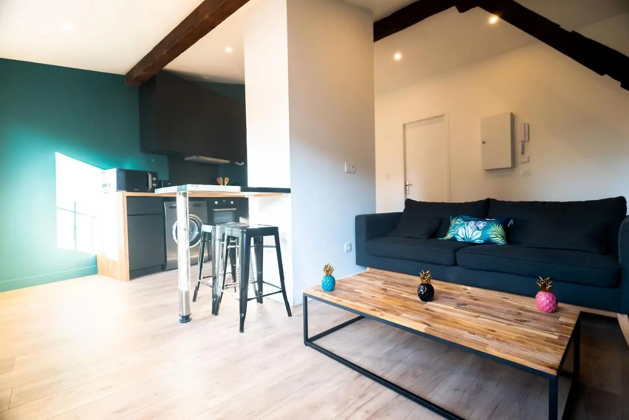 Le Puits-Clos - T2 Au Capitole Apartment Toulouse