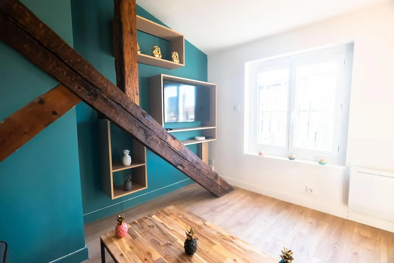 Le Puits-Clos - T2 Au Capitole Apartment Toulouse France
