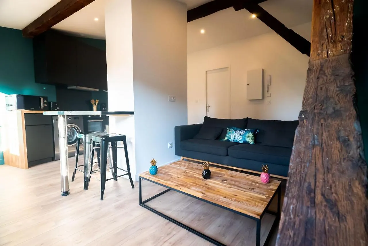 Le Puits-Clos - T2 Au Capitole Apartment Toulouse