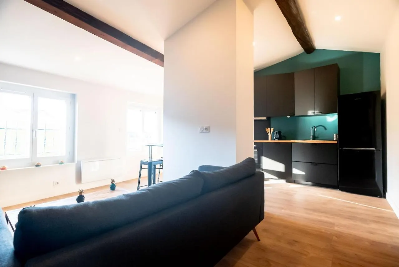 Le Puits-Clos - T2 Au Capitole Apartment Toulouse France