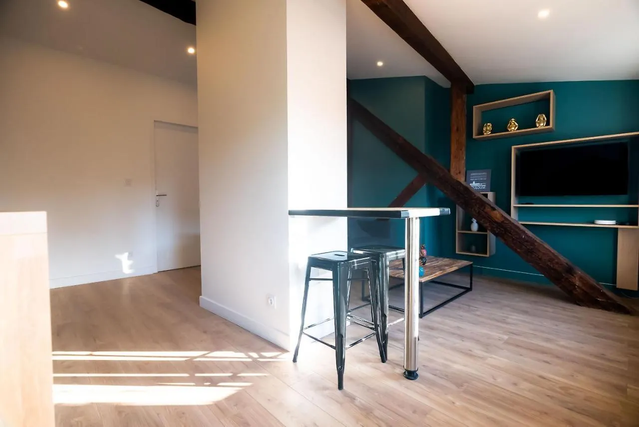 Le Puits-Clos - T2 Au Capitole Apartment Toulouse