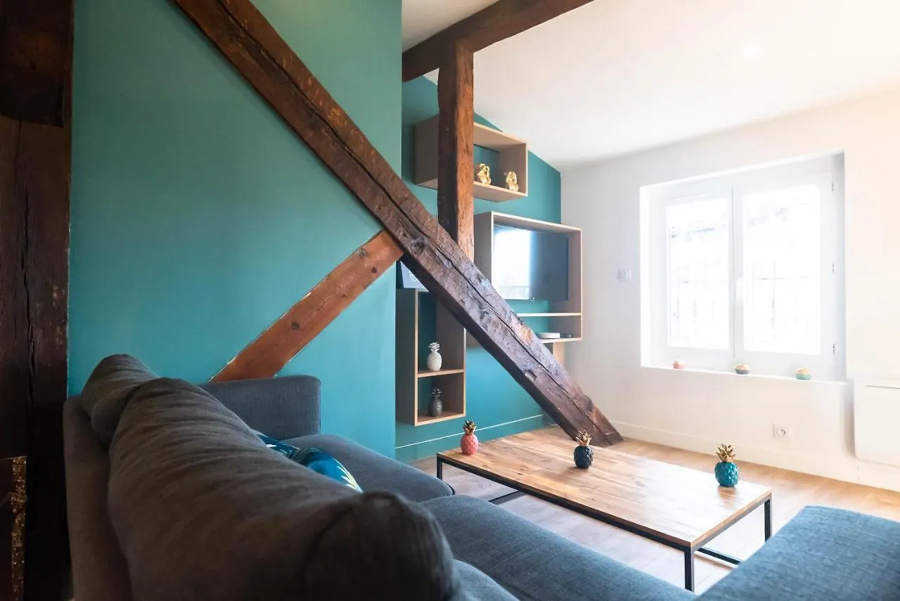 Le Puits-Clos - T2 Au Capitole Apartment Toulouse France