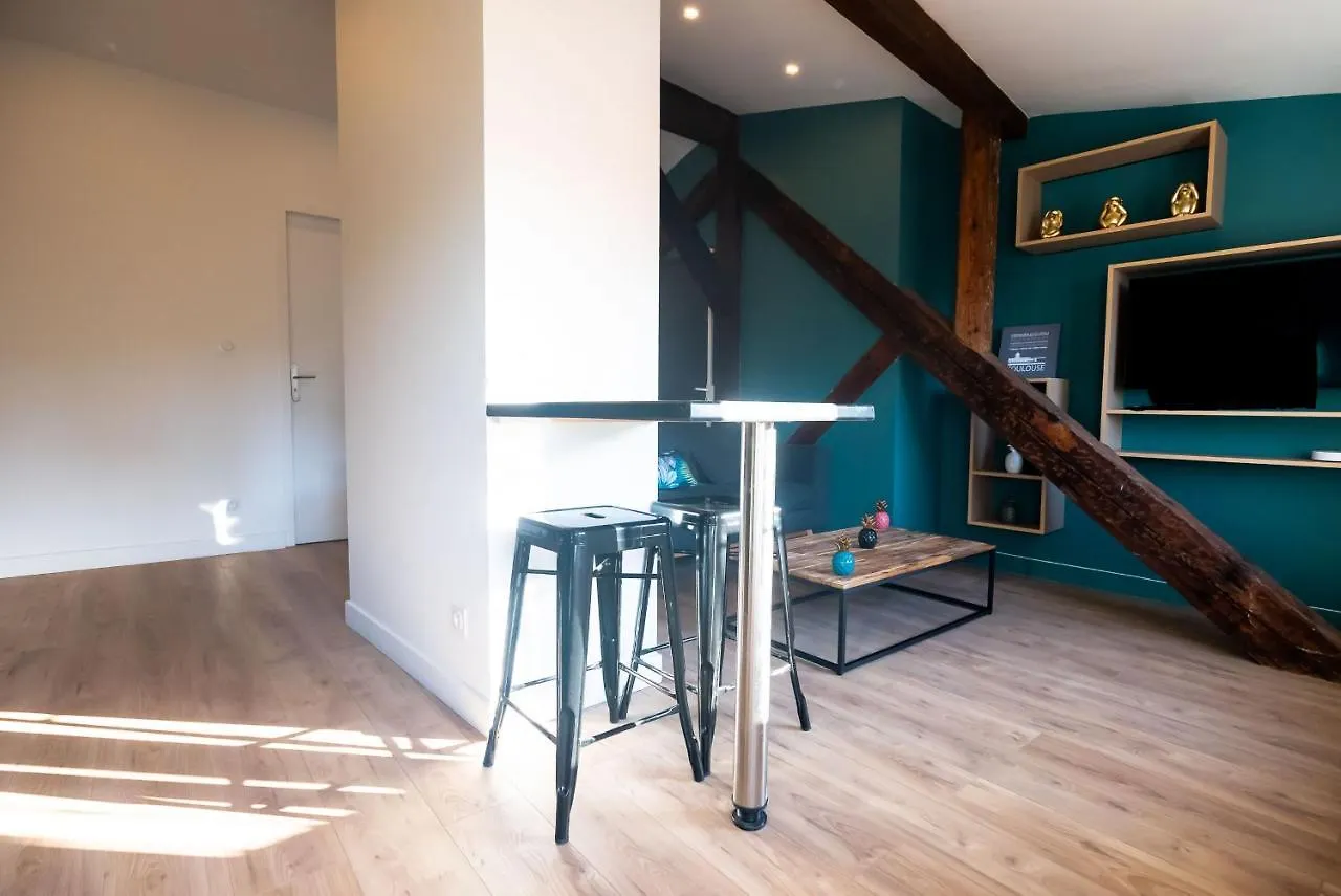 Le Puits-Clos - T2 Au Capitole Apartment Toulouse France
